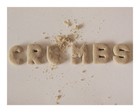 Picture for song 'Crumbs' by artist 'The Teacosy Project'