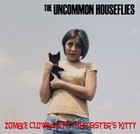 Picture for song 'Things I Hate' by artist 'The Uncommon Houseflies'