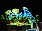 Picture for song 'Margharitaville' by artist 'The Vault - Selections from Our Scatalogue'