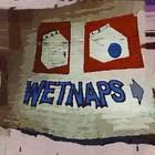 Picture for song 'Only Time Will Tell' by artist 'The WETNAPS'