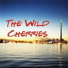 Picture for song 'Trap 2 ver 1.5 HQ' by artist 'The Wild Cherries'