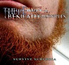 Picture for song 'Rarely Smiles' by artist 'They Dwell Beneath the Temples'