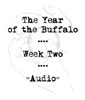 Picture for song 'Week Two: Short' by artist 'The Year of the Buffalo'