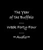 Picture for song 'Week Forty-Four: Harpoon the Amazonian' by artist 'The Year of the Buffalo (Volume IV)'