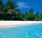 Picture for song 'Caribbia' by artist 'Thick Productions'