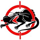 Picture for song 'Squad Squashin' by artist 'Timmy Wood'