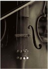 Picture for song 'Classical Instrumental ( 2009 )' by artist 'T.J.H.E.'