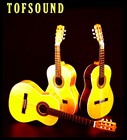 Picture for song 'GUITAR RANT' by artist 'TOFSOUND'