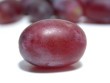 Picture for song 'Vitis' by artist 'Tom McLaughlin'