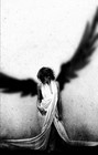 Picture for song 'She Took My Soul' by artist 'Tommy QuigZ'