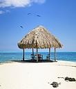 Picture for song 'My St Lucia' by artist 'Tom Reidy'