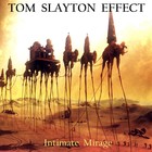 Picture for song 'Legends of Sedara' by artist 'Tom Slayton Effect'