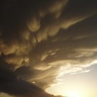 Picture for song 'Die with me' by artist 'Track1beats'