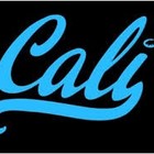 Picture for song 'Cali Functions | Free Download' by artist 'Track Hittaz'