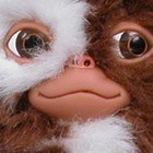 Picture for song 'Gizmo Part 1' by artist 'TrakkBlazers'