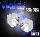 Picture for song 'Trice - Tell Me (LPFM radio rip)' by artist 'Trice Beatz'
