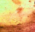 Picture for song 'liggiliggilau funk' by artist 'Tryggvi Hansen'