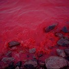 Picture for song 'Blood Is Thicker Than Water' by artist 'TTM'