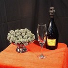 Picture for song 'Champagne & Reefer | Free DL' by artist 'tvisionbeatz'