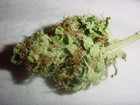 Picture for song 'Gettin Blowed(blow out ya speakas)(shortschaafmix)' by artist 'two fathomz'