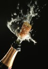 Picture for song 'Champagne (You)' by artist 'T.Y.theProducer'