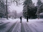 Picture for song 'winter' by artist 'Upsidedown Cat'