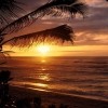 Picture for song 'Sunset' by artist 'utarefson'