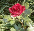 Picture for song 'Colorful memories of a happy time' by artist 'varvara.jdanova'