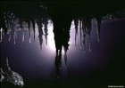 Picture for song 'Angel of the Night (Vox)' by artist 'Velvet Rose'