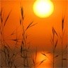 Picture for song 'Crepusculo' by artist 'veraa'
