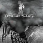Picture for song 'Hustle N Flow' by artist 'VERSITILE RIDEMS'
