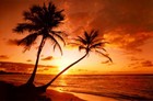 Picture for song 'Ruby - Paradise (#1 Summer Single)' by artist 'Vicious Cuts'