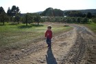 Picture for song 'Lucky Star' by artist 'Village Jammers'