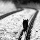 Picture for song 'way' by artist 'wado production'