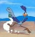 Picture for song 'Road Runner, (Meep Meep!)' by artist 'WB and the Me Band'