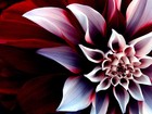 Picture for song 'If Love Be A Lady' by artist 'Wiggz (US)'
