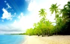 Picture for song 'Exotic (Summer Hit)' by artist 'WildlifeDaProducer'