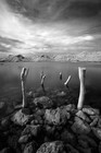 Picture for song 'I'M IN THE DARK NOW' by artist 'WILLOW MAN'