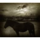 Picture for song 'Dark Horse' by artist 'Will play for beer'