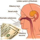 Picture for song 'Wiff of da Fragrance' by artist 'witeb0i of Run and Hyde Records'