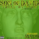 Picture for song 'Midnite Toker' by artist 'Wolf Gang Radio'