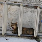 Picture for song 'I don't care' by artist 'Wolfini'