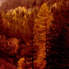 Picture for song 'Artifacts of the Great Race of Yith' by artist 'Wormtongue (US)'