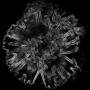 Picture for song 'ALCEA.' by artist 'YOTSUE'