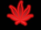 Picture for song 'Livin My Life High' by artist 'Young Ghost the Most Hated'