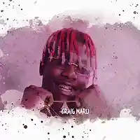 Picture for song 'Neon (Lil Yachty x Riff Raff)' by artist 'Craig Maru'