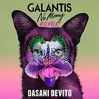 Picture for song 'Galantis - No Money (Remix)' by artist 'Dasani Devito'