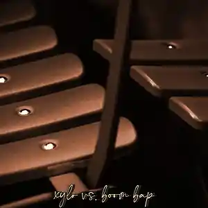 Picture for song ''xylo vs. boom bap'' by artist 'Larry Soundz'