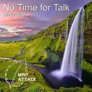 Picture for song 'No Time for Talk (Emerald Mix)' by artist 'Mint Attack'