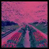 cover pic